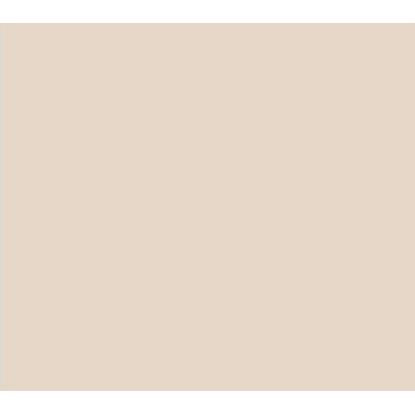 CHALK PAINT CP-38 NUDE 0.5