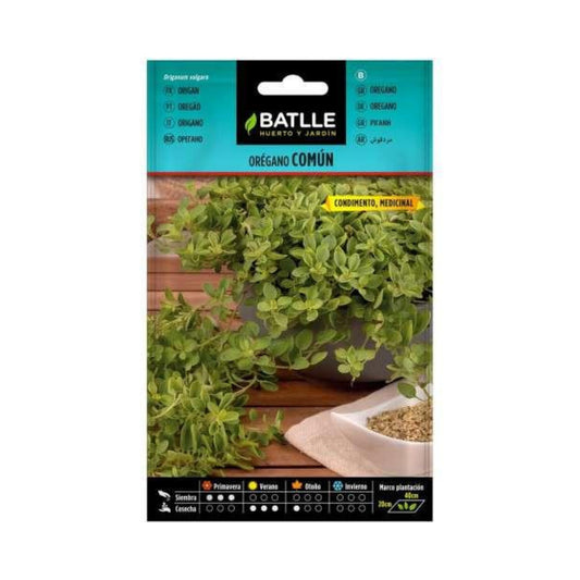 Samen von gewöhnlichem Oregano Batlle