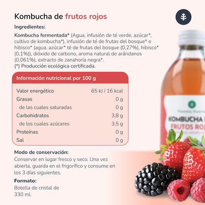Packung 6x Kombucha ECO Rote Früchte Planet Orchard 330 ml