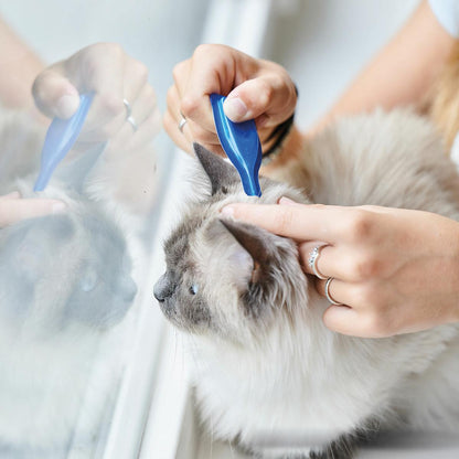 Calming Spot On  Pipety uspokajające dla kotów Beaphar 3x0,4 ml