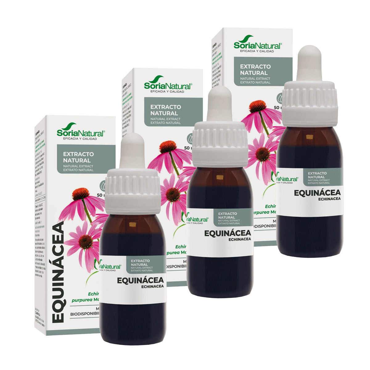 3er-Pack Soria Natural Echinacea-Extrakt, 50 ml