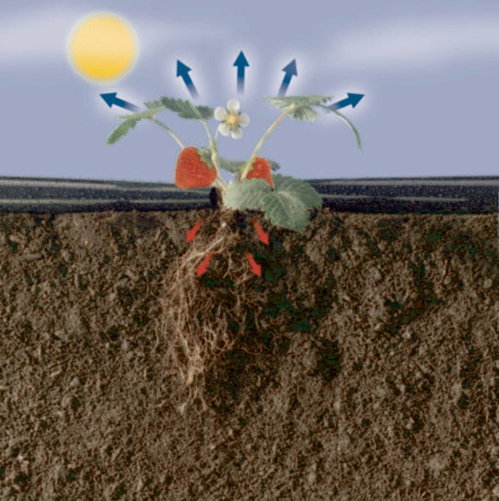 Pellicola di pacciamatura Fresafilm Nortene 1,4 x 10 m