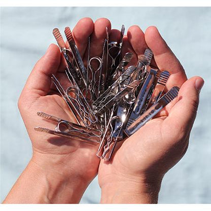 Roestvrijstalen wasknijpers Pincinox 12 stuks