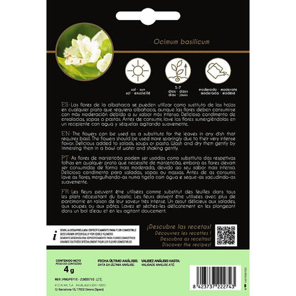 Ätbara blommor av basilika Rocalba