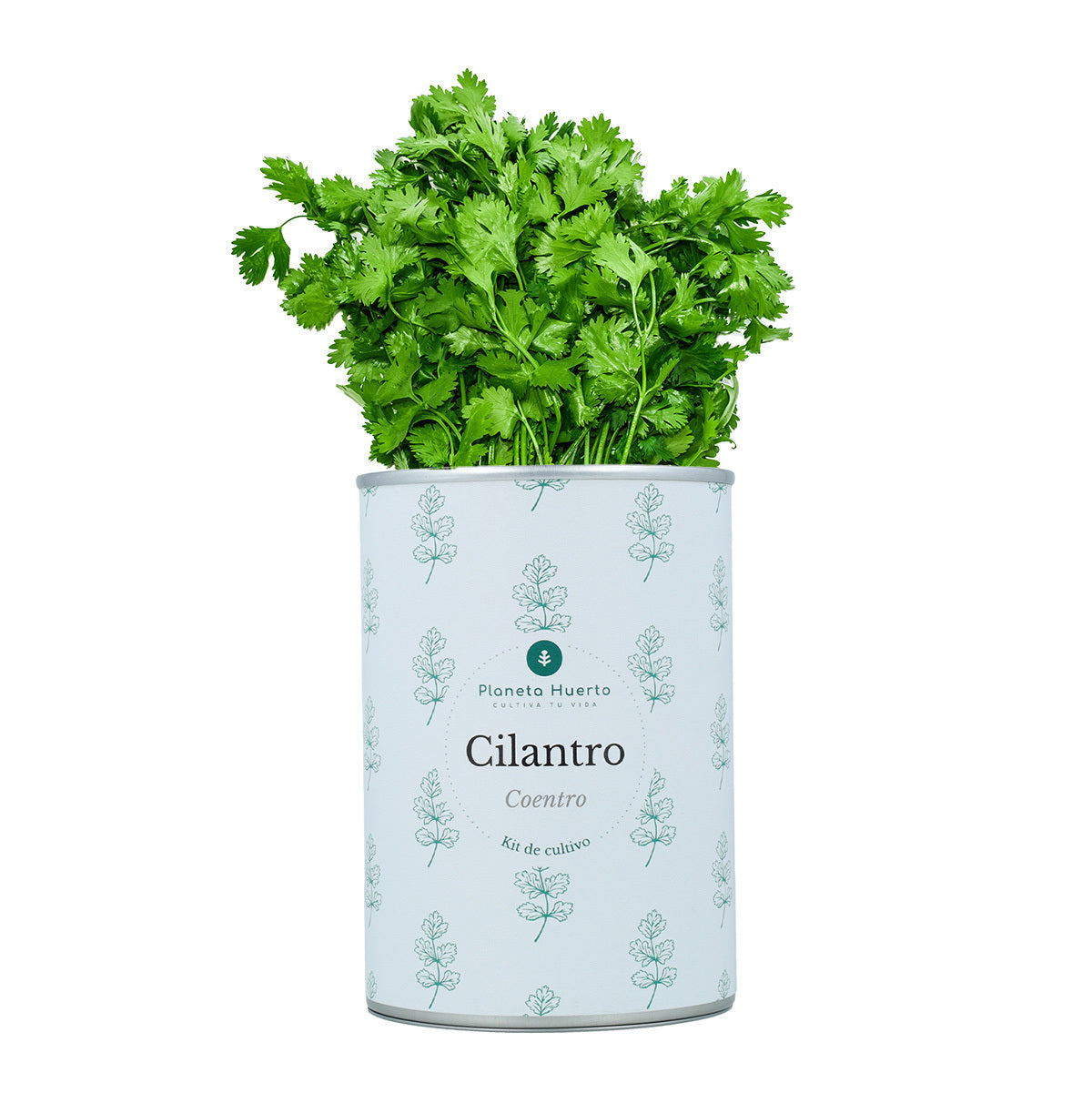 Kit per la coltivazione aromatica Pacco Pettorale Planeta Huerto