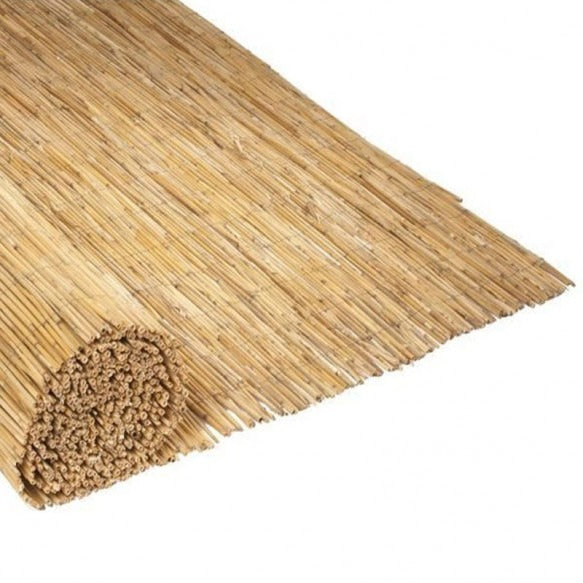 Tunn bamburör Reedcane Nortene 1 x 5 m