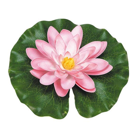 Pink water lily with drops