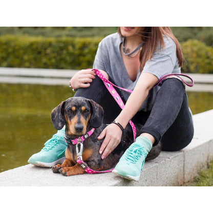 Klassischer Hundegurt DOGTELLA Dukier L