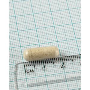 2er-Pack Digestizyme Verdauungsenzyme, Lamberts, 100 Kapseln