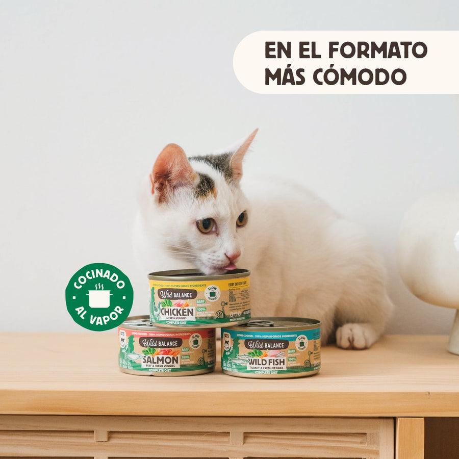 Packung BARF-Hühnchenkonserven für Katzen 6 x 120 g Wild Balance