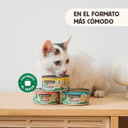 Packung BARF-Hühnchenkonserven für Katzen 6 x 120 g Wild Balance