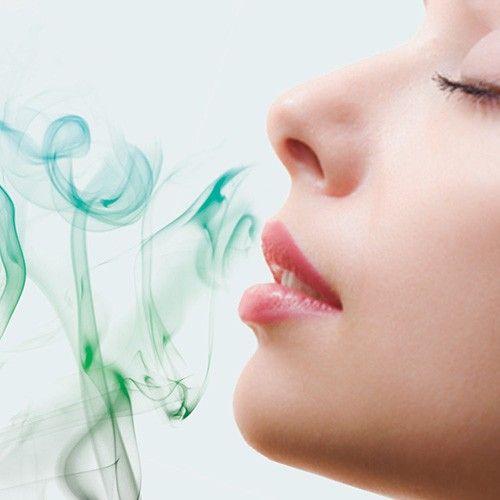 Zapach sztucznej trawy Nortene 750 ml