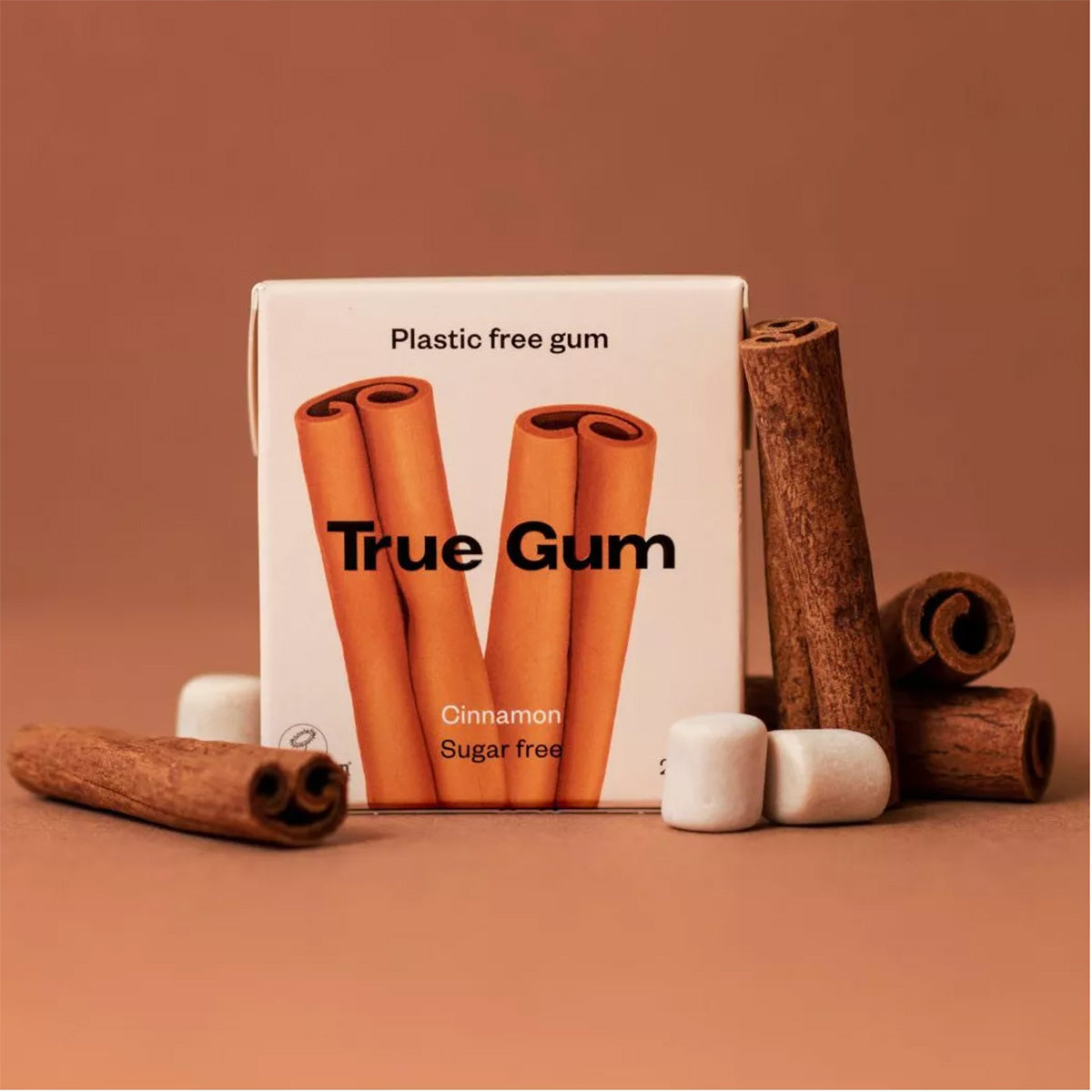 Plastikfreier Kaugummi mit Zimtgeschmack von True Gum 21 g