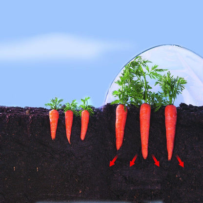 Film de culture pour légumes précoces Climafilm Nortene 2 x 5 m