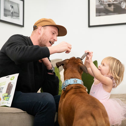 Edgard Cooper Doggy Dental for Medium Dogs, Mint and Strawberry, 7 sticks