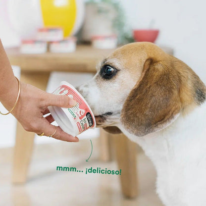 Wild Balance Frozen Yoghurt for Dogs and Cats with Natural Prebiotics 110 g
