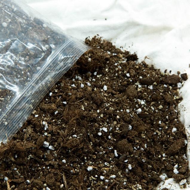 Substrat universel pour carnivores 1 L