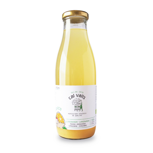 Limonade à la pomme et au gingembre ECO 750 ml Cal Valls