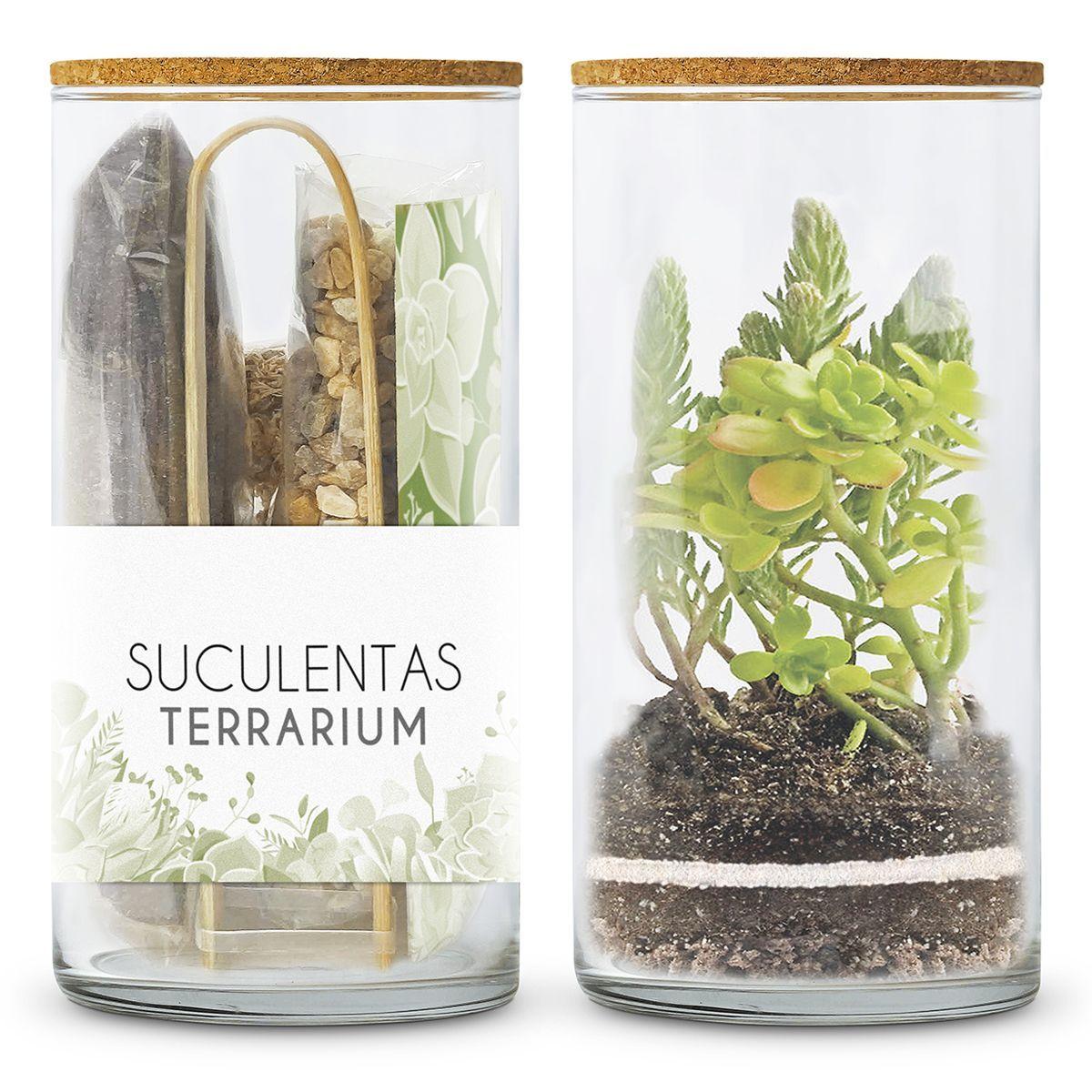 Terrarium Kit to Create Your Own Succulent Garden, Garden Pocket