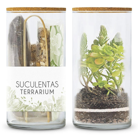 Kit Terrarium per creare il tuo giardino di piante grasse, Garden Pocket