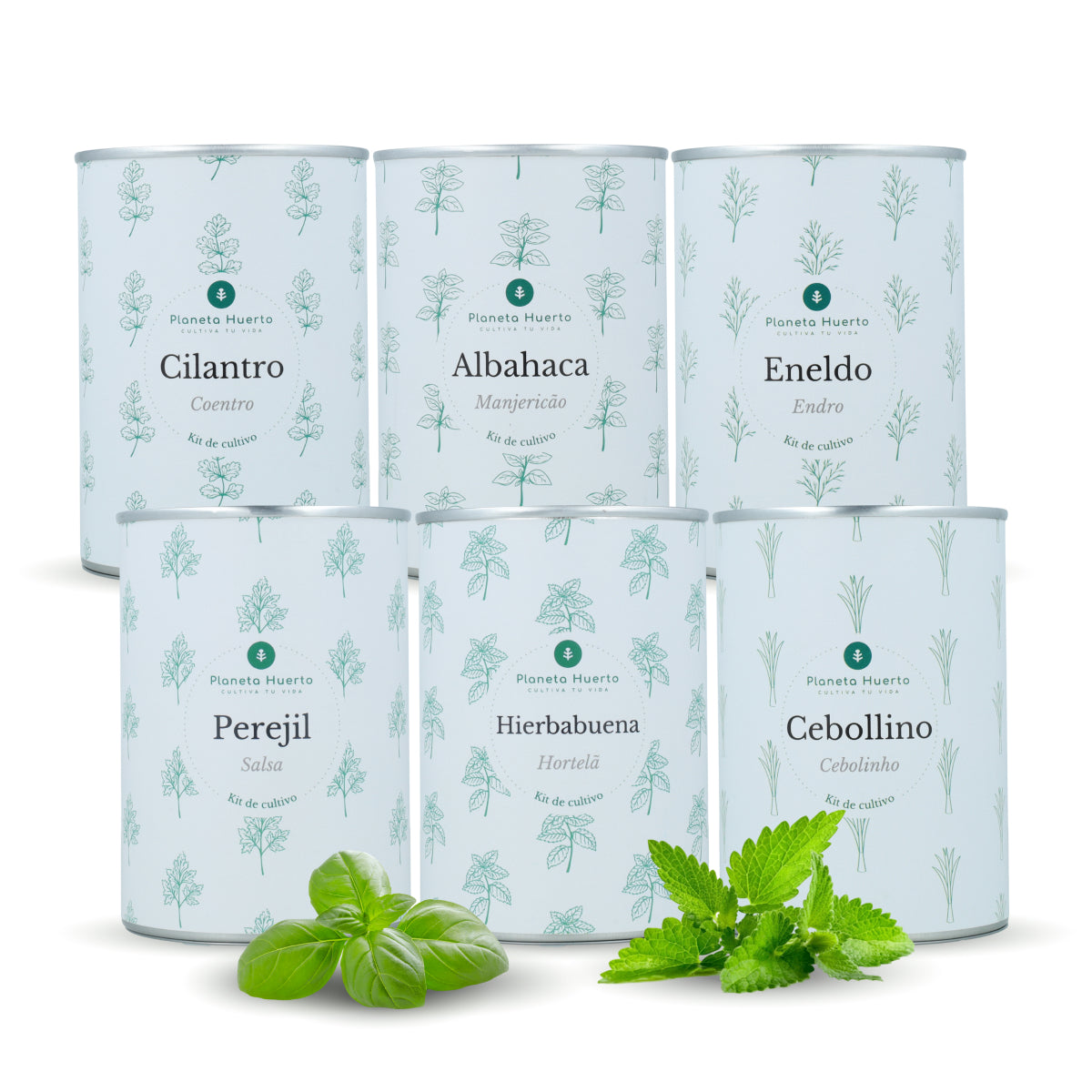 Aromatische kweeksets Kistpakket Planeta Huerto