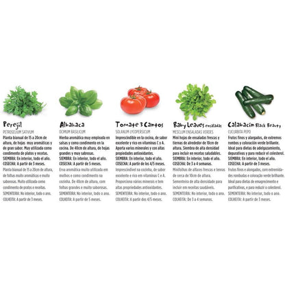 Kit potager Vintage Eco Batlle