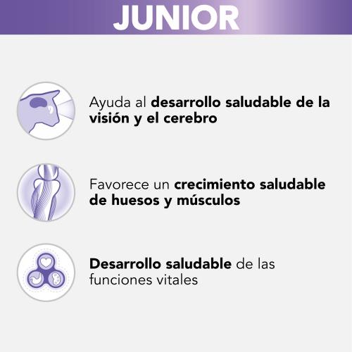 PRO PLAN Katze Kitten Truthahn in Soße 85 g