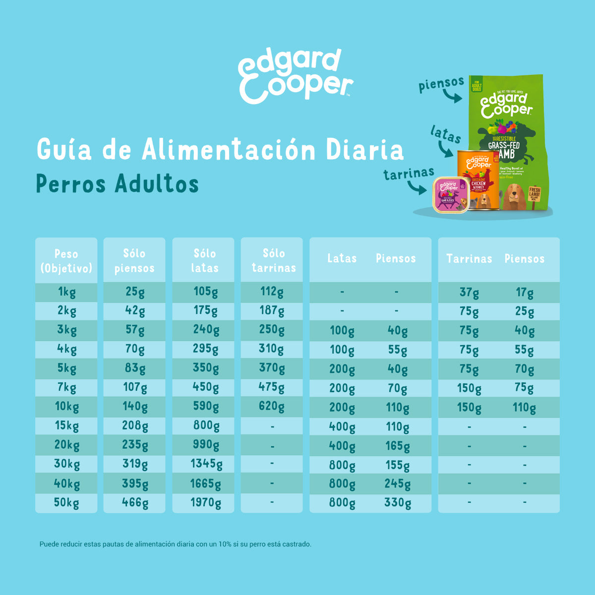 Nourriture humide pour chiens Viande de bœuf Edgard & Cooper 400 g