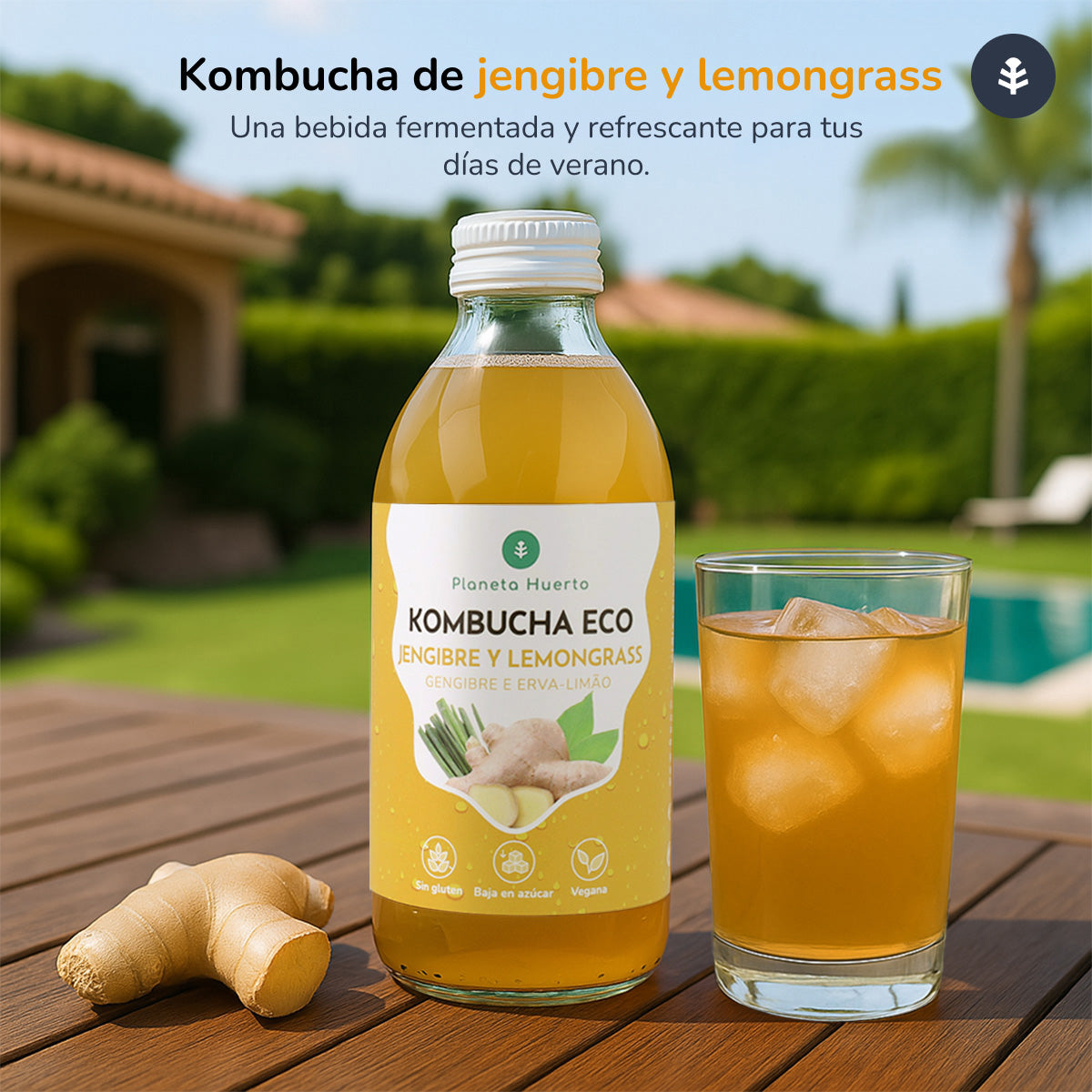 Pak 6x Kombucha ECO Gember en citroengras Planeta Huerto 330 ml
