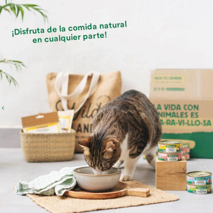 Zestaw 6x tradycyjny ragout z wołowiną i kurczakiem dla kotów 6 x 80 g + prezent: pokrywka wielokrotnego użytku do puszek, Wild Balance