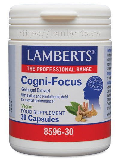 Cogni-Focus Galangal +B5 + Jod Lamberts
