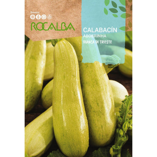 Semi di zucchina bianca di Trieste