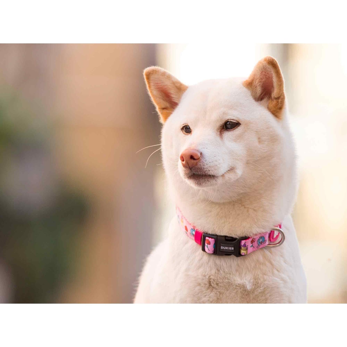 Hundhalsband PRINCESS Dukier M