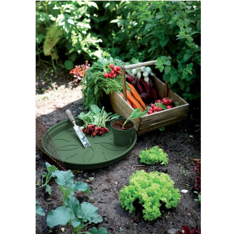 Plateau pot Green Basics Elho Vert 17 cm