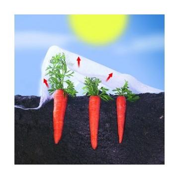 Climatex Nortene Growth Veil 2 x 5 m