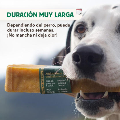 Mordedor Wild Yaky Golden Barrita de Leche de Yak del Himalaya con Cúrcuma Wild Balance 1 ud M+