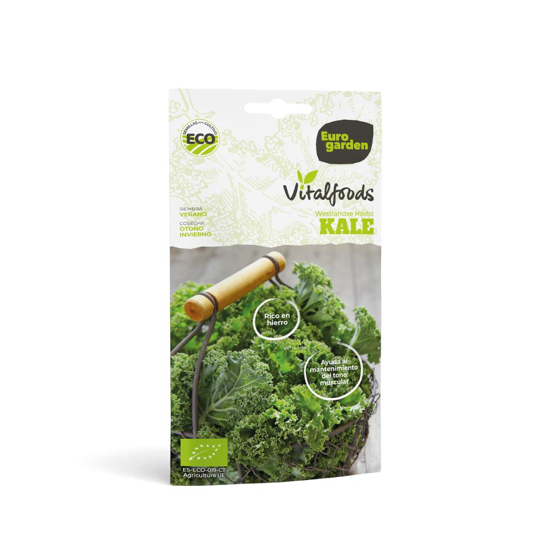 Semi di cavolo riccio Westlande Herfst biologici Vitalfoods