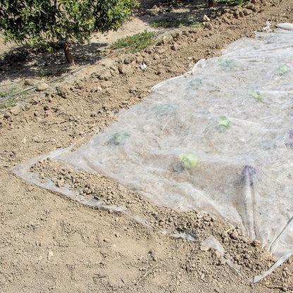 Climatex Nortene Growth Veil 2 x 5 m