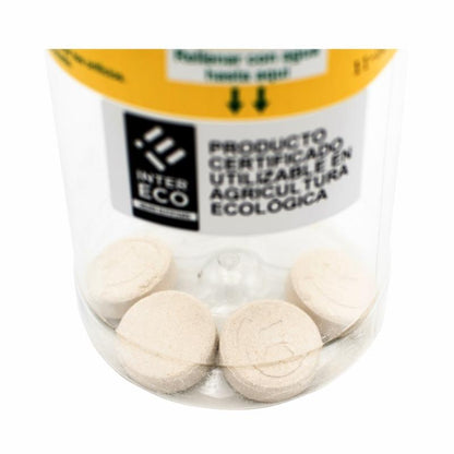 Sparpackung Lockstoff-Set für Frucht- und Olivenfliegen Ceratinex