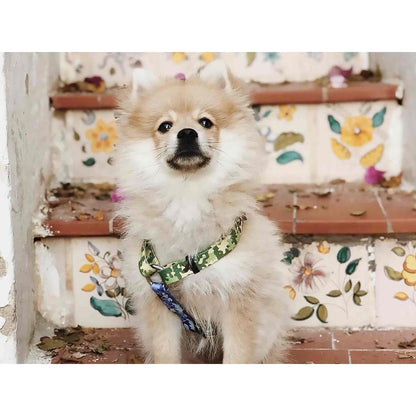 CAMO Dukier L classic dog harness