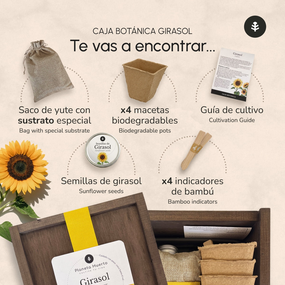 Kit de Cultivo de Girasol en Caja de Madera – Regalo Original Planeta Huerto