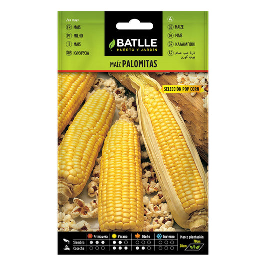 Popcorn-Maiskörner Pop Corn Batlle