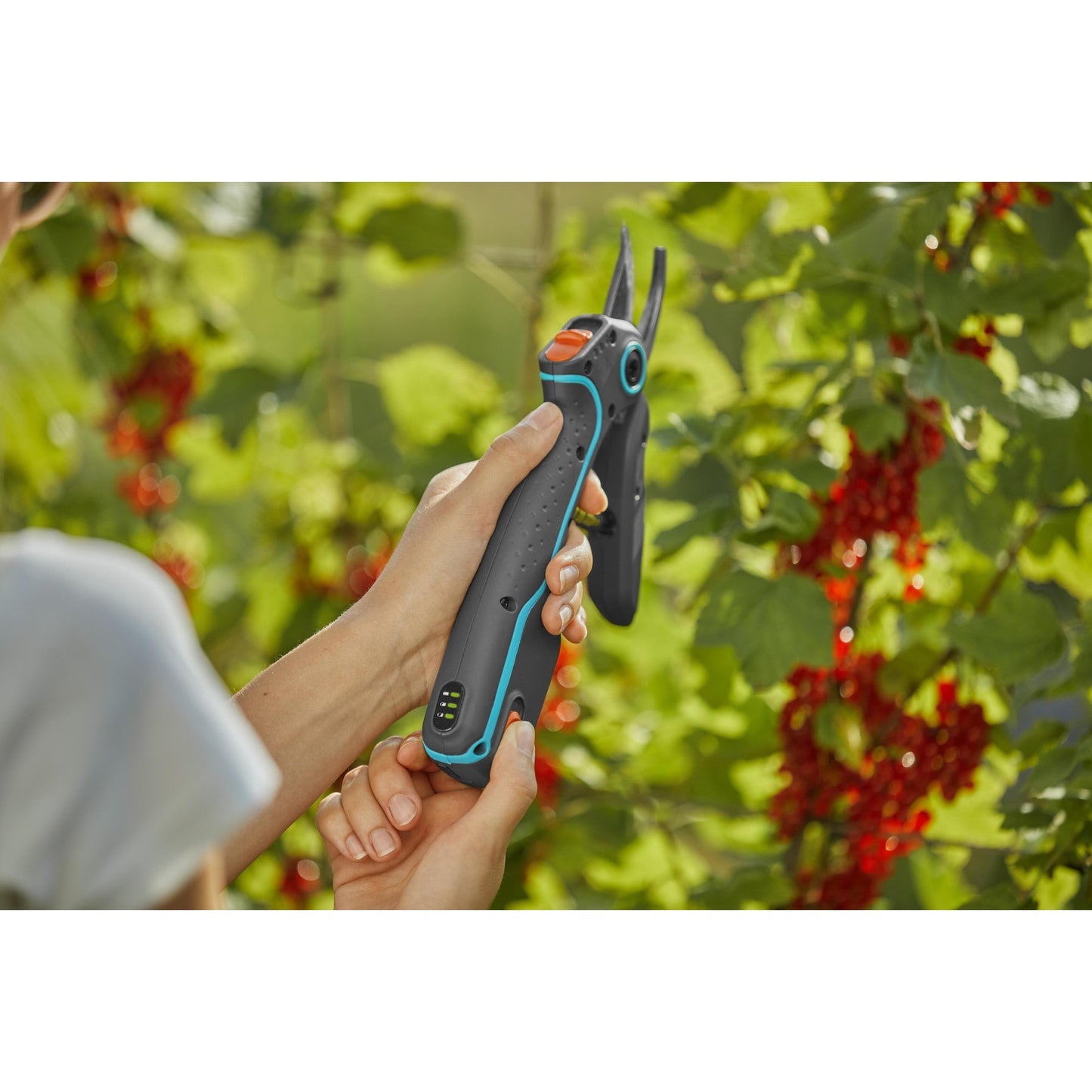 Akku-Gartenschere AssistCut GARDENA