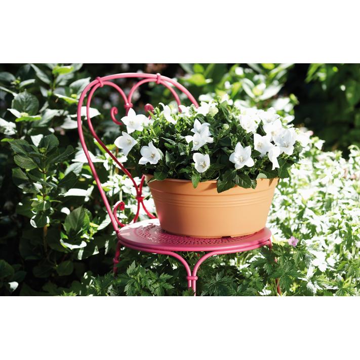 Ciotola rotonda Green Basics Elho Terra 27 cm