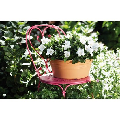 Ciotola rotonda Green Basics Elho Terra 27 cm