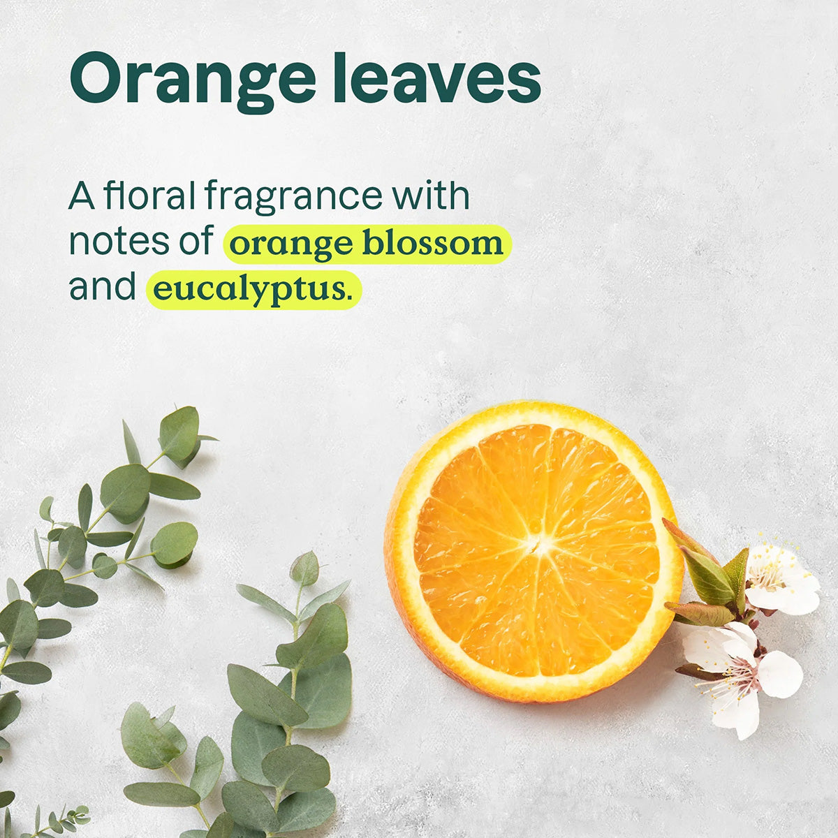 Super Leaves Handseife Orangenblüte und Eukalyptus, Attitude, 473 ml