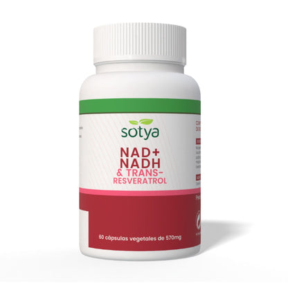 NAD Trans Resveratrol Sotya 60 Kapseln