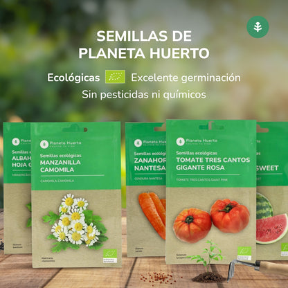 Biologische groene bieten zaden Planeta Huerto