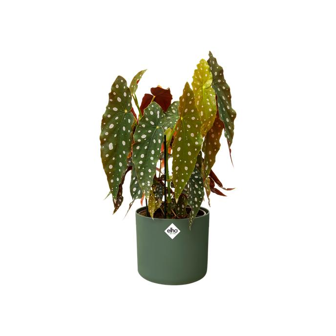 Fioriera B.for Soft Round Elho Verde 18 cm