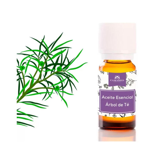 Eteriskt tea tree-olja (Melaleuca Alternifoli). Camassia 30 ml